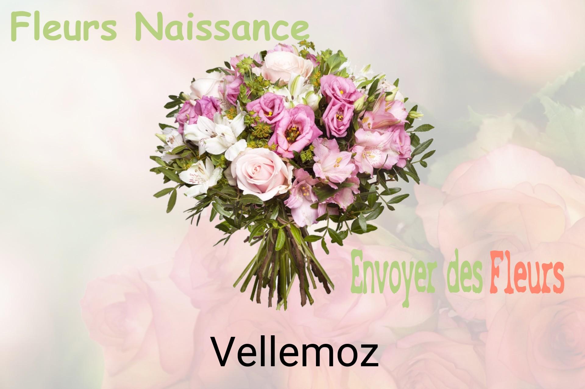 Bouquet de fleurs de naissance livré à Vellemoz