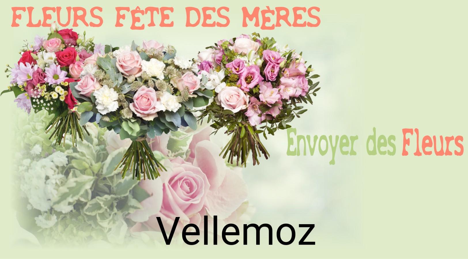 Bouquet de Fête des Mères livré à Vellemoz